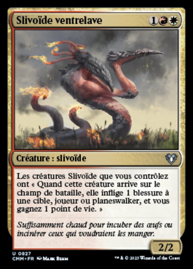 image Slivoïde ventrelave