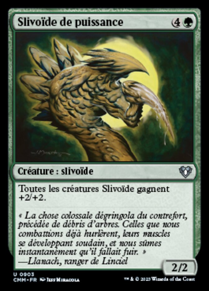 image Slivoïde de puissance