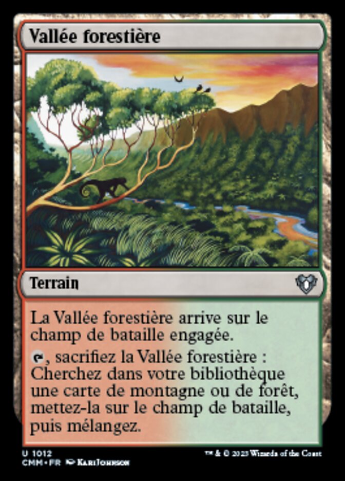 image Vallée forestière