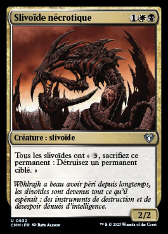 image Slivoïde nécrotique