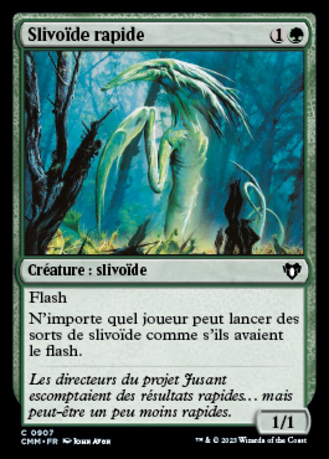 image Slivoïde rapide