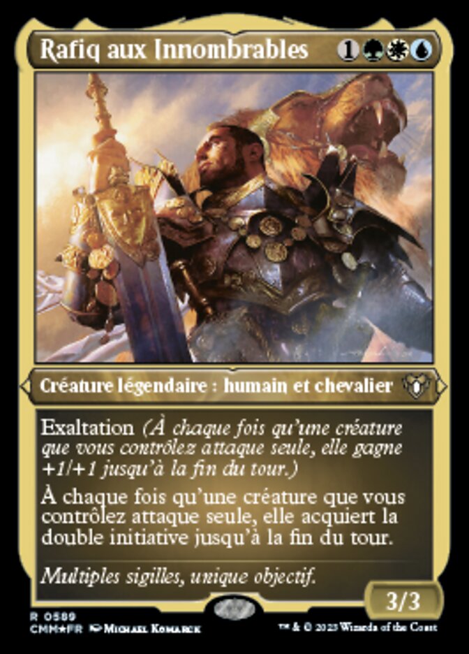 image Rafiq aux Innombrables