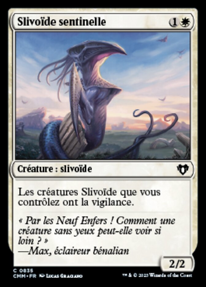 image Slivoïde sentinelle