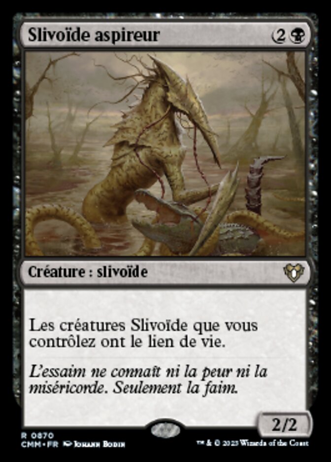 image Slivoïde aspireur
