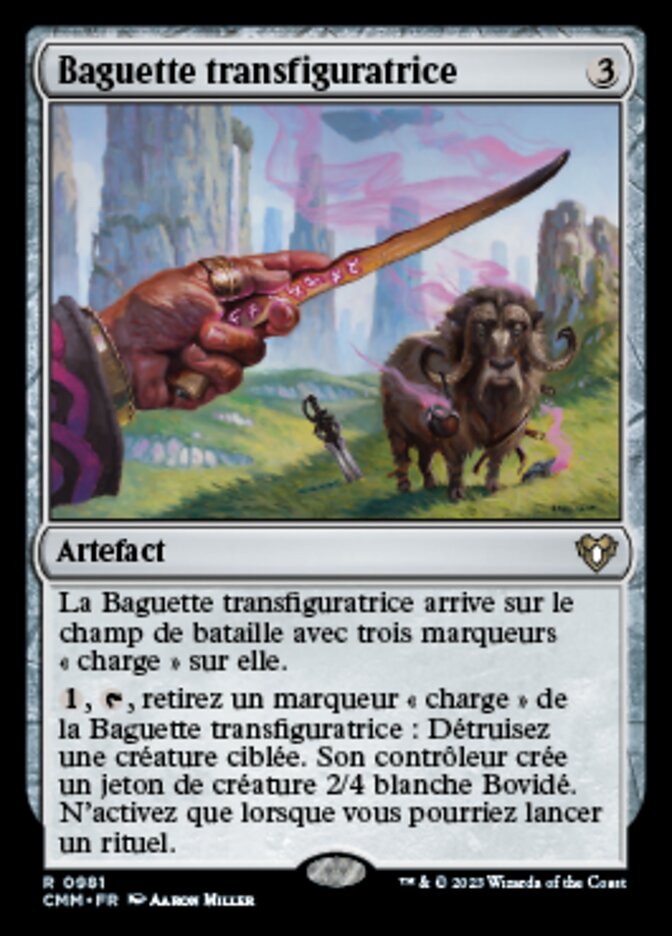 image Baguette transfiguratrice
