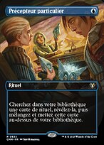 Précepteur particulier