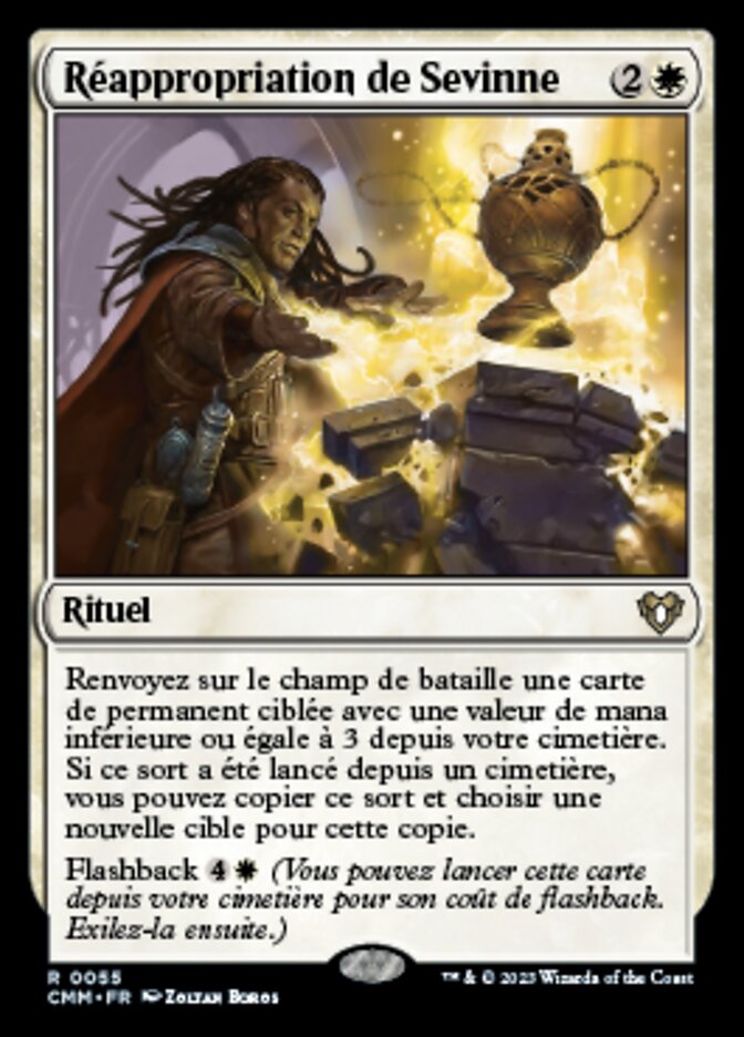 image Réappropriation de Sevinne