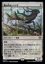 跳ね回るシケイダ