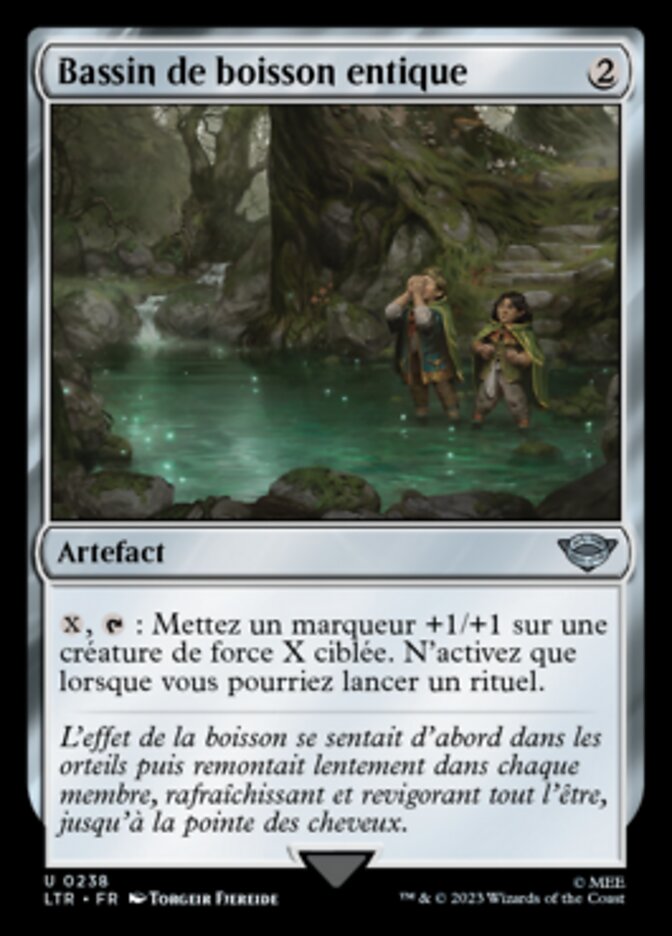 image Bassin de boisson entique