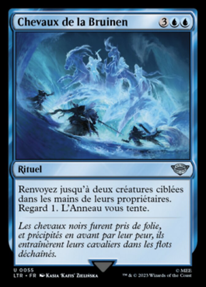 image Chevaux de la Bruinen