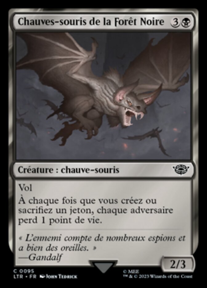 image Chauves-souris de la Forêt Noire