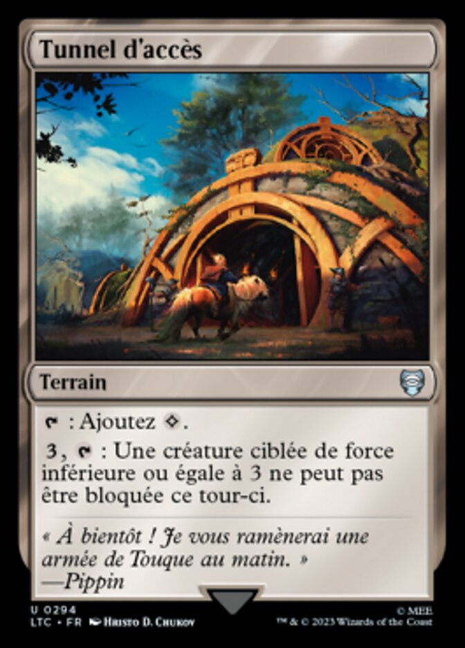 image Tunnel d'accès