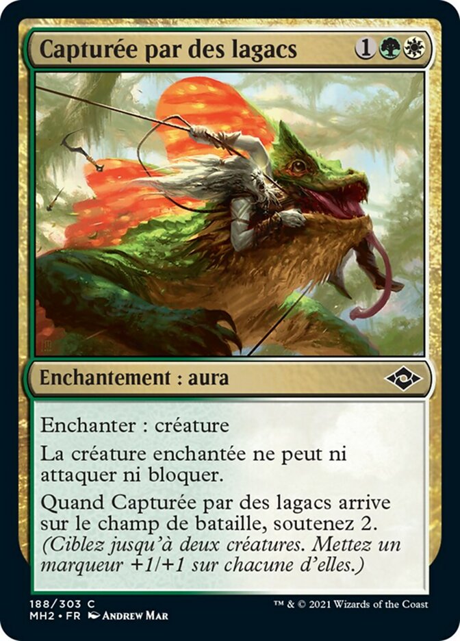 image Capturée par des lagacs