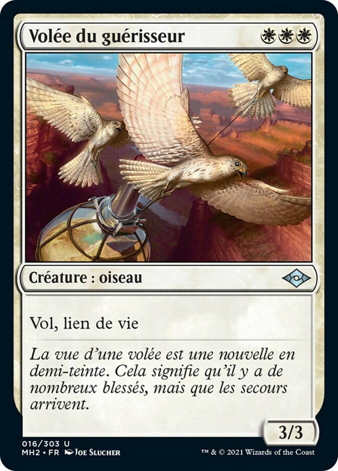 image Volée du guérisseur