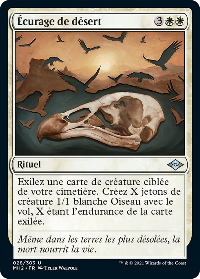 image Écurage de désert