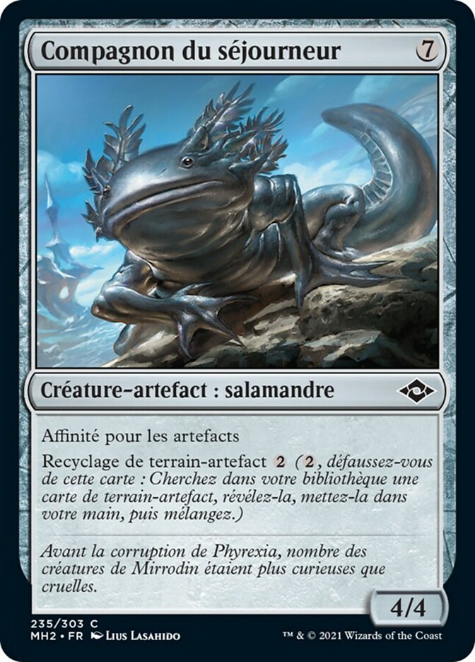 image Compagnon du séjourneur