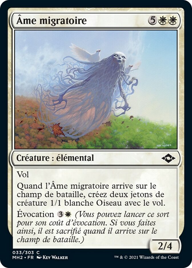 image Âme migratoire