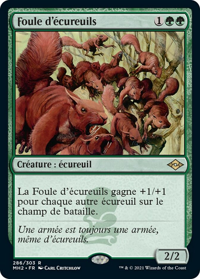 image Foule d'écureuils