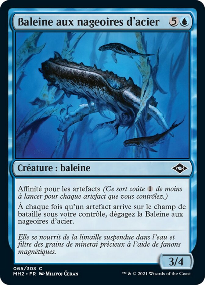 image Baleine aux nageoires d'acier