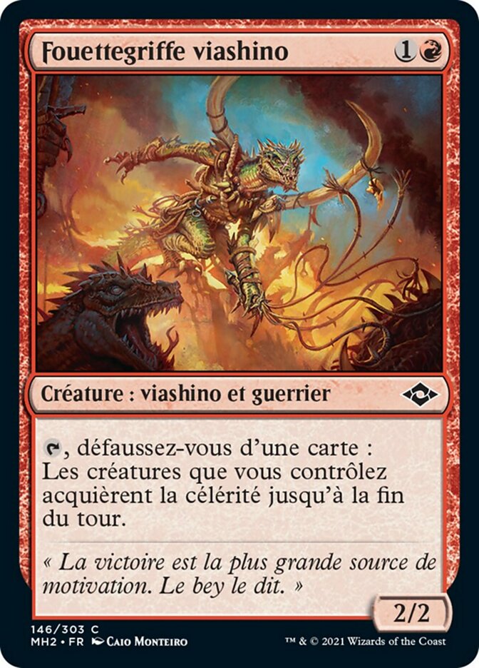 image Fouettegriffe viashino