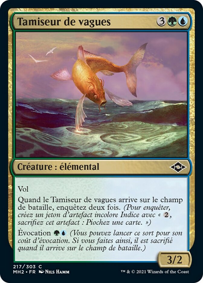 image Tamiseur de vagues