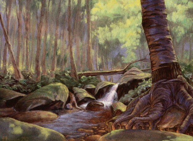Tranquil Thicket