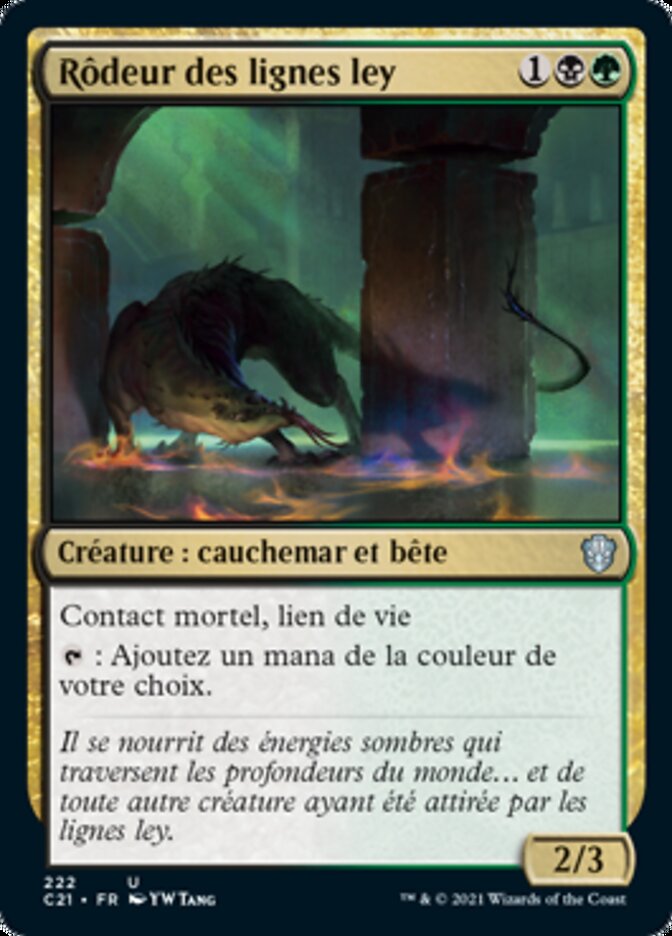 image Rôdeur des lignes ley