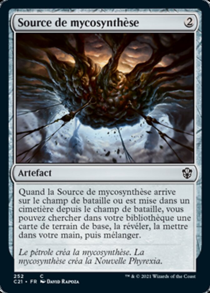 image Source de mycosynthèse