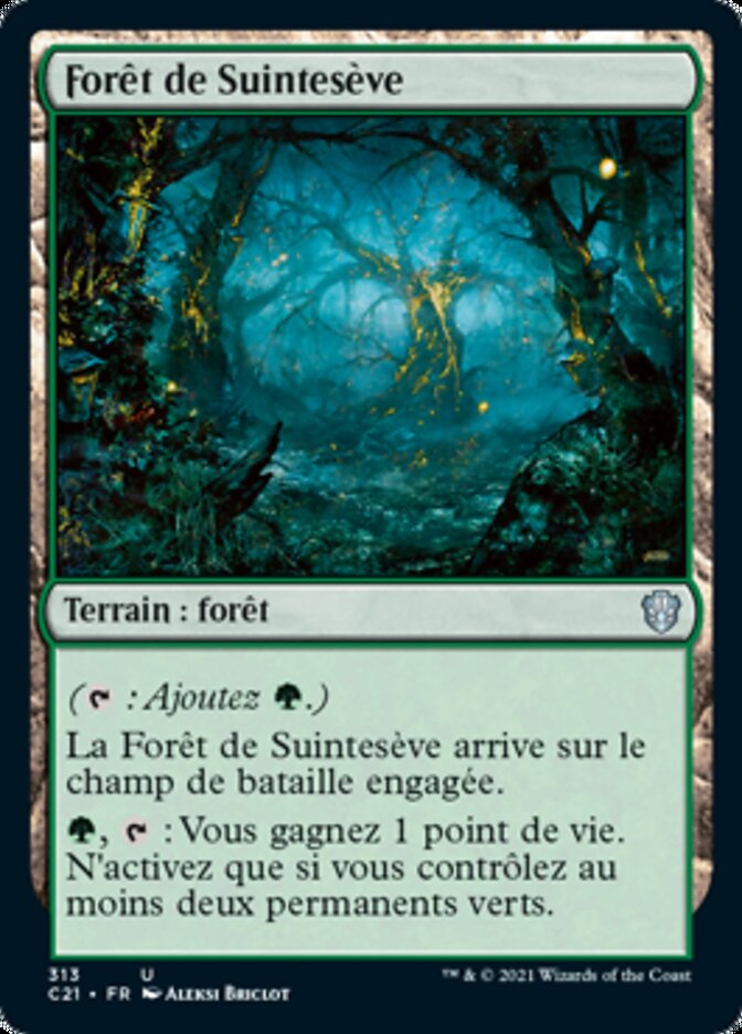 image Forêt de Suintesève