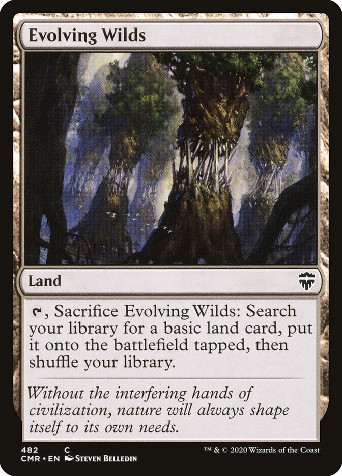 image Evolving Wilds