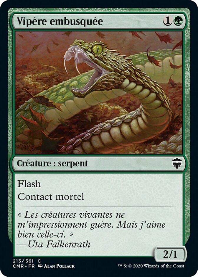 image Vipère embusquée