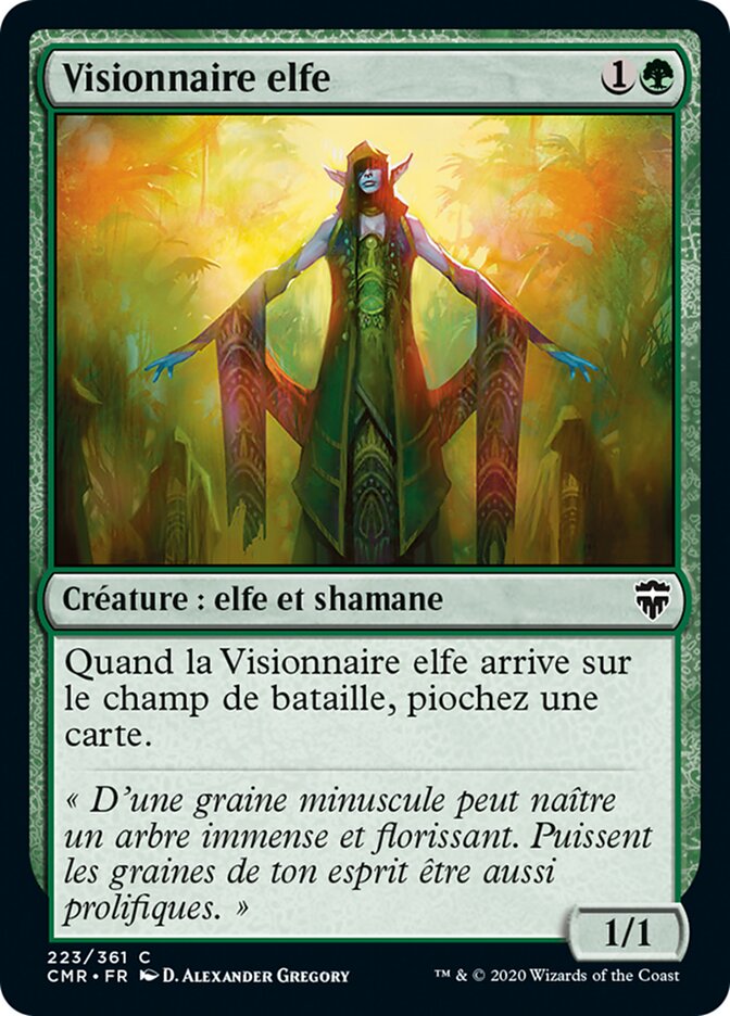 image Visionnaire elfe