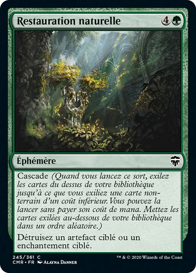 image Restauration naturelle