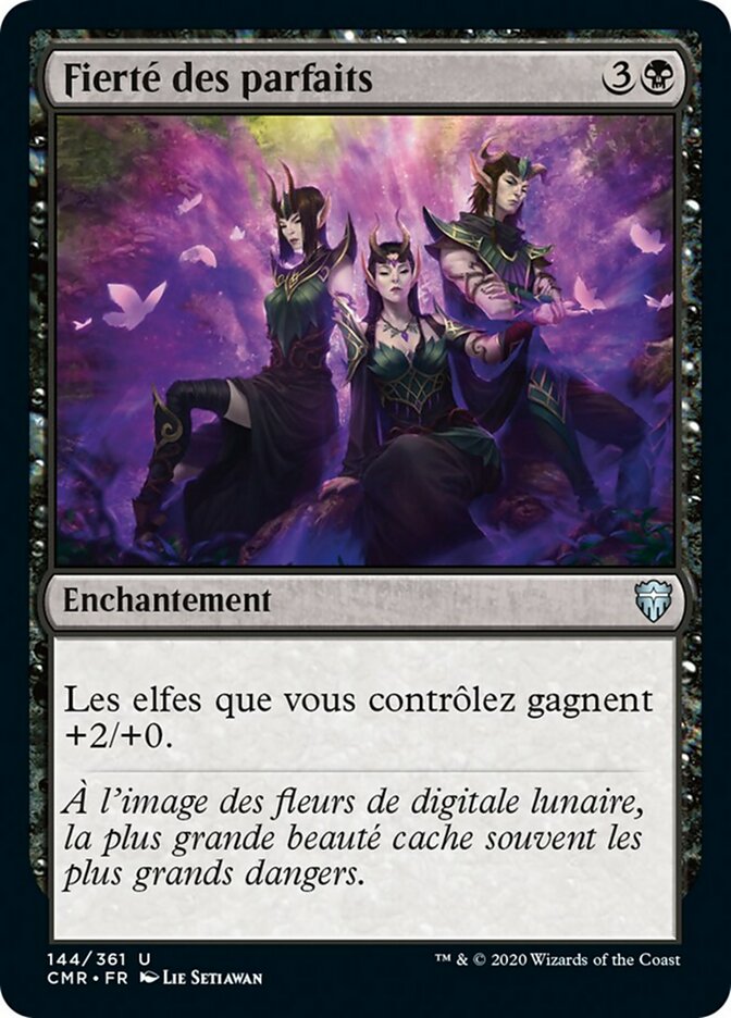 image Fierté des parfaits