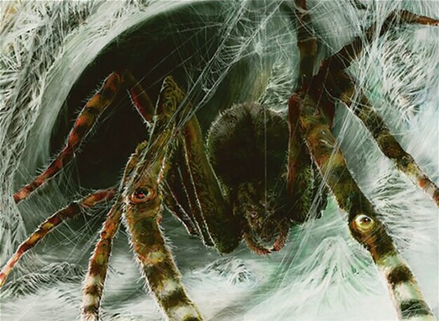 Araignée sentinelle