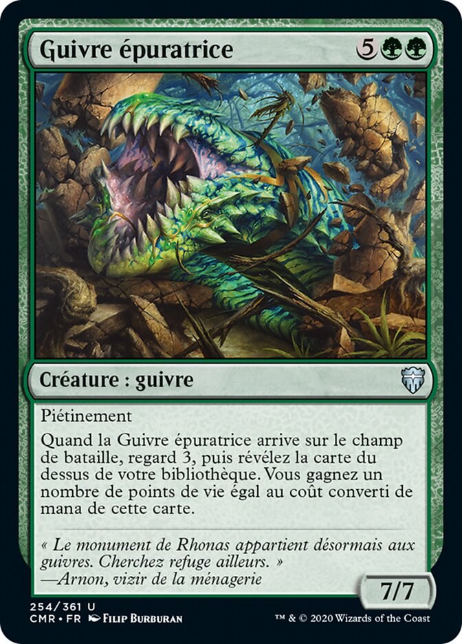 image Guivre épuratrice