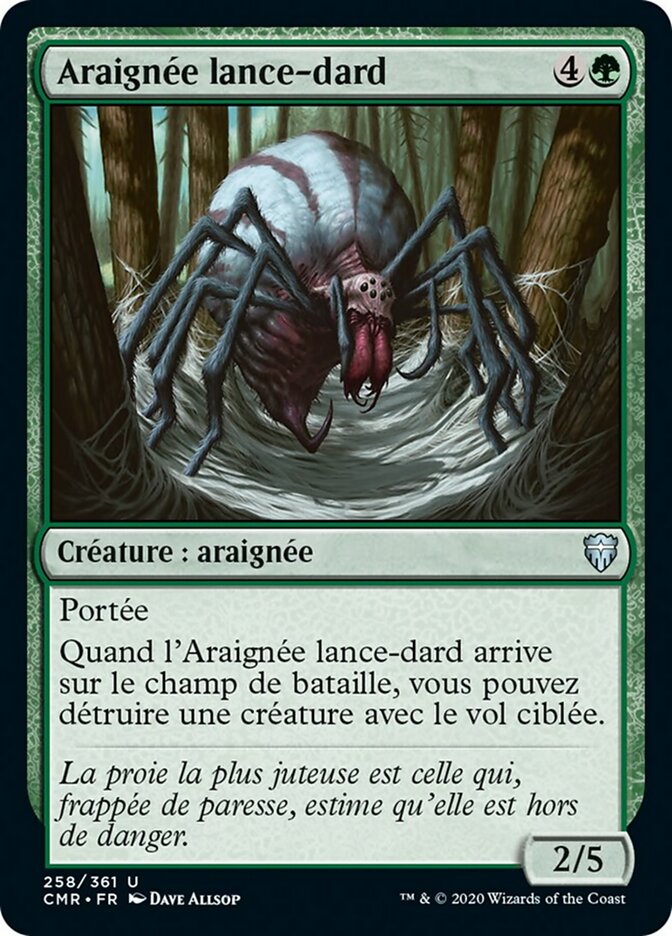 image Araignée lance-dard