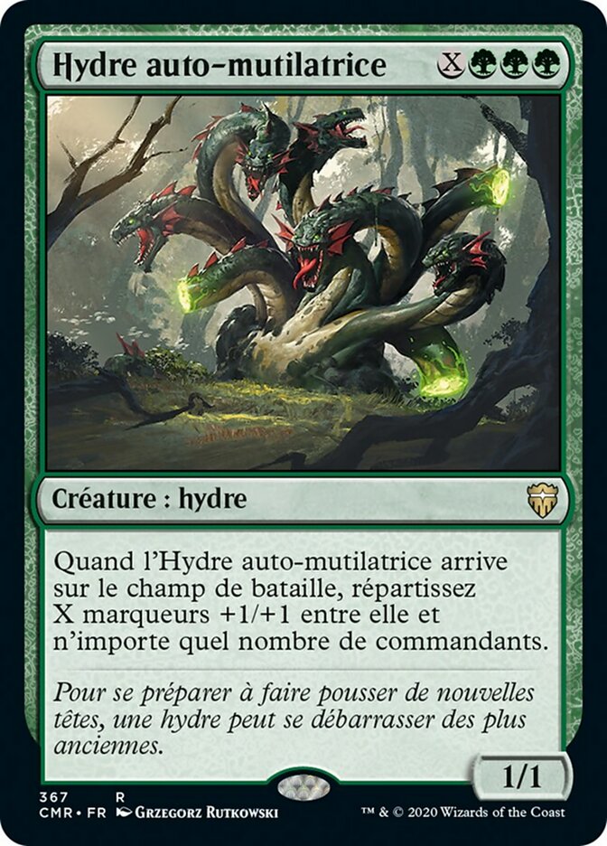 image Hydre auto-mutilatrice