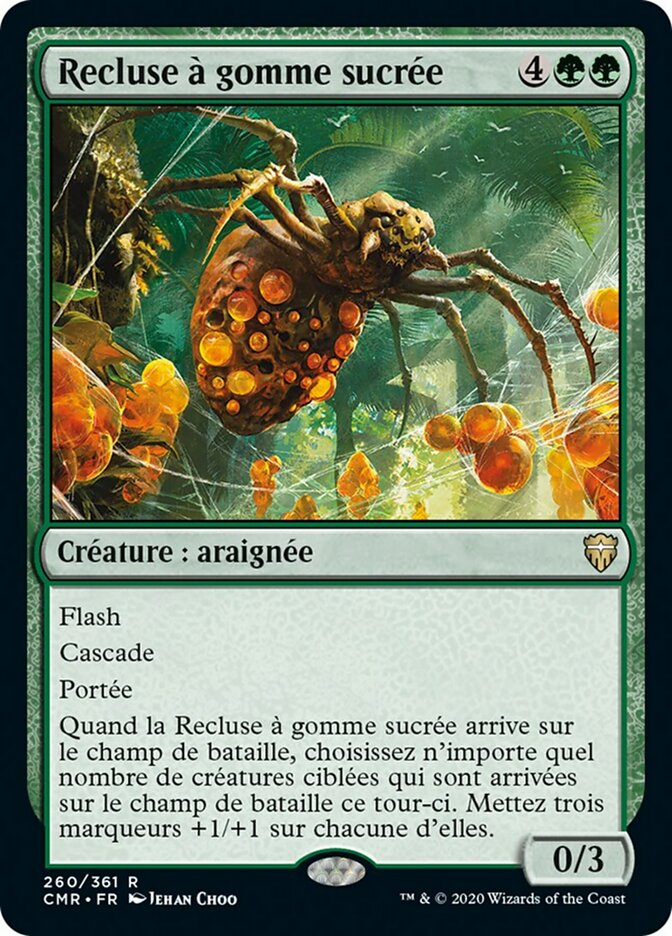 image Recluse à gomme sucrée