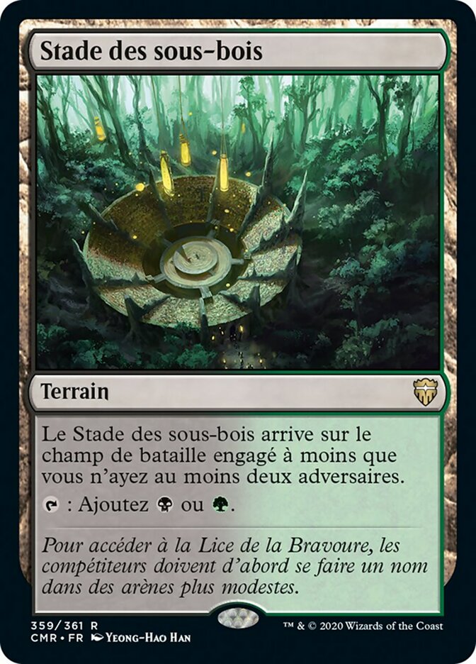 image Stade des sous-bois