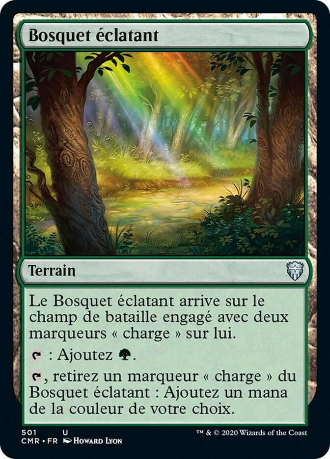 image Bosquet éclatant