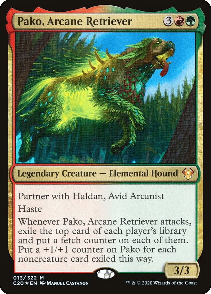 image Pako, Arcane Retriever