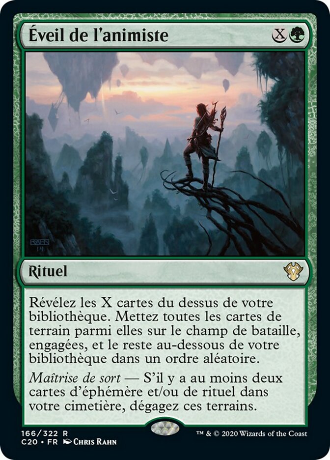 image Éveil de l'animiste