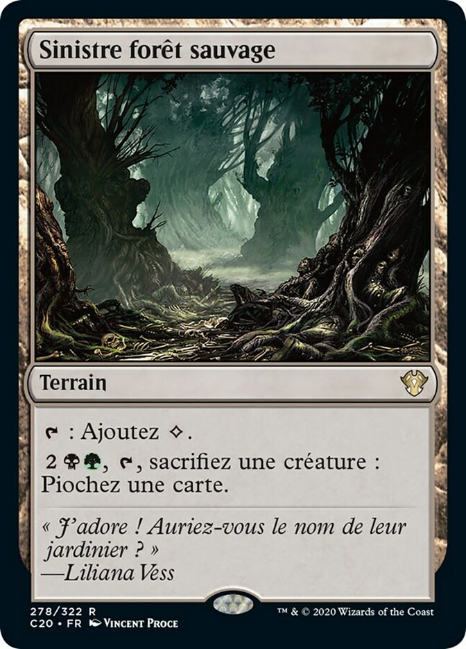 image Sinistre forêt sauvage