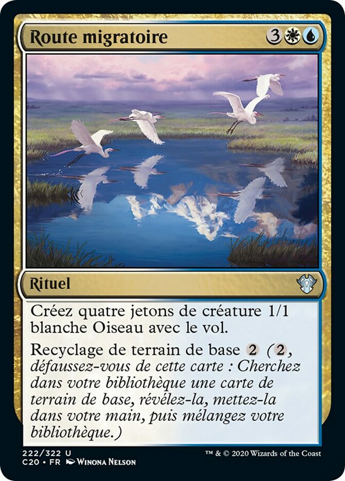 image Route migratoire