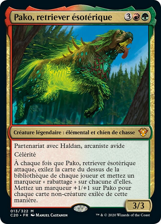 image Pako, retriever ésotérique