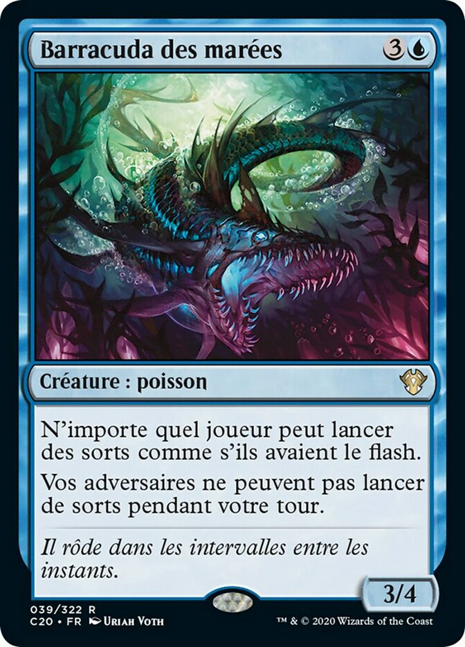 image Barracuda des marées