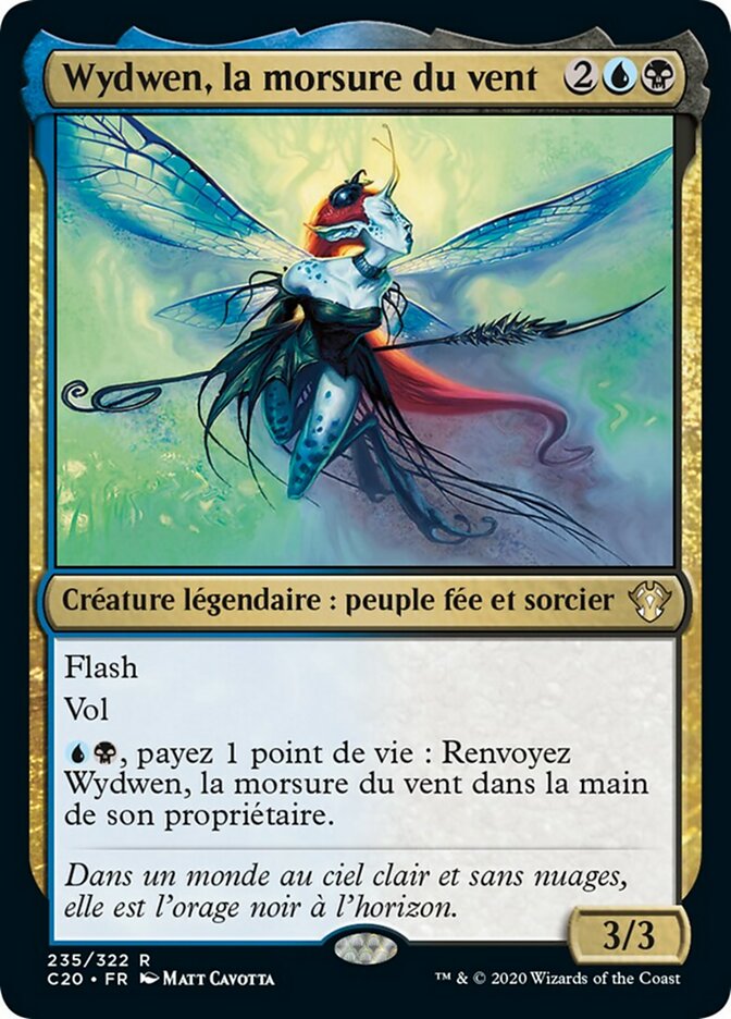 image Wydwen, la morsure du vent