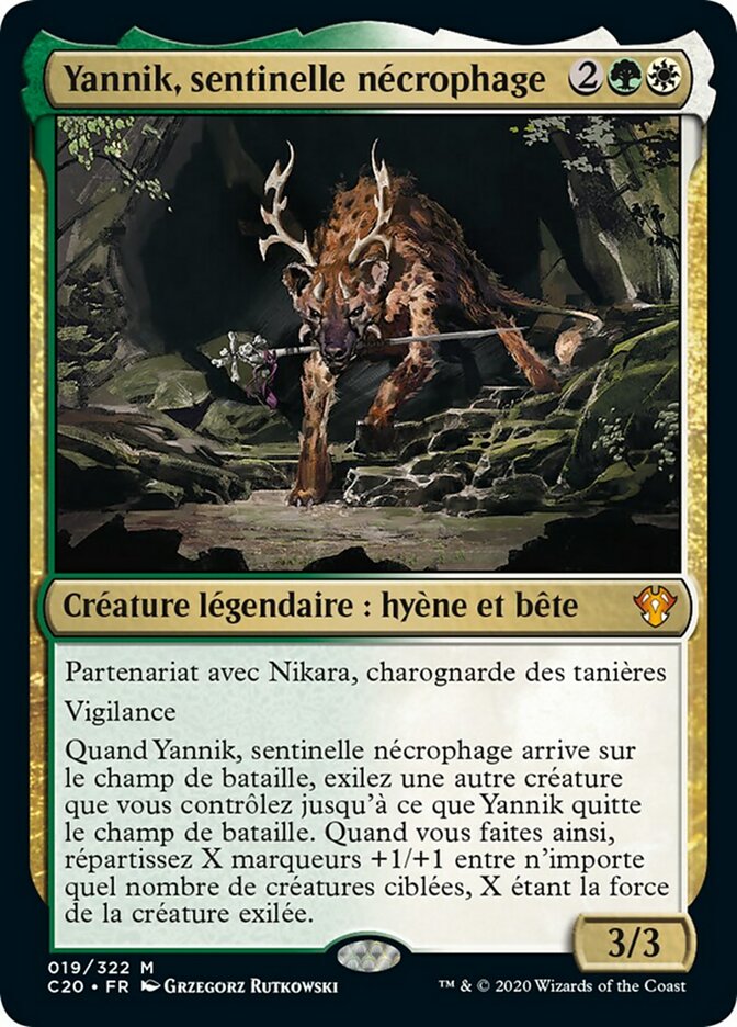 image Yannik, sentinelle nécrophage