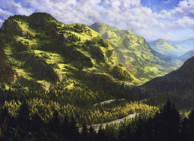 Forest